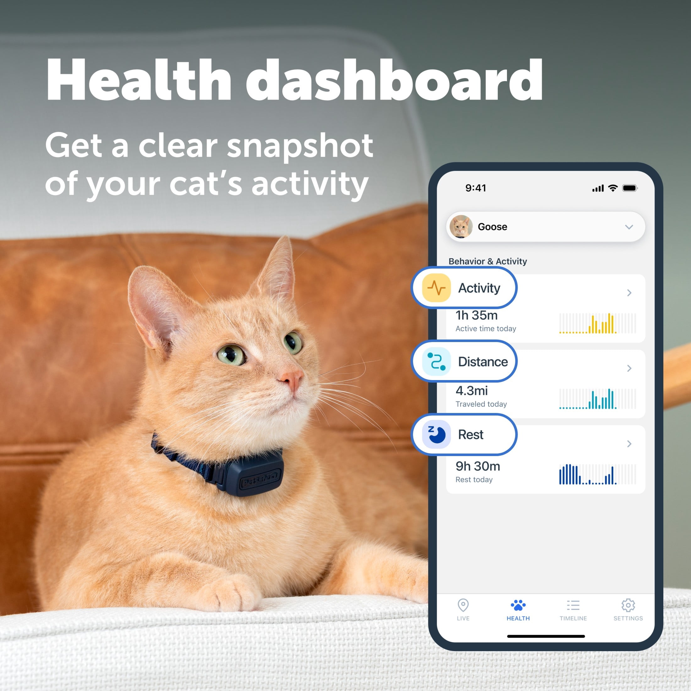 PetSafe GPS Cat Tracker, Live GPS Tracking, Subscription Required | Unlimited Safe Zones, Immediate Escape Alerts  Distance and rest time - Breakaway Collar  Up to 15-Day Battery Life