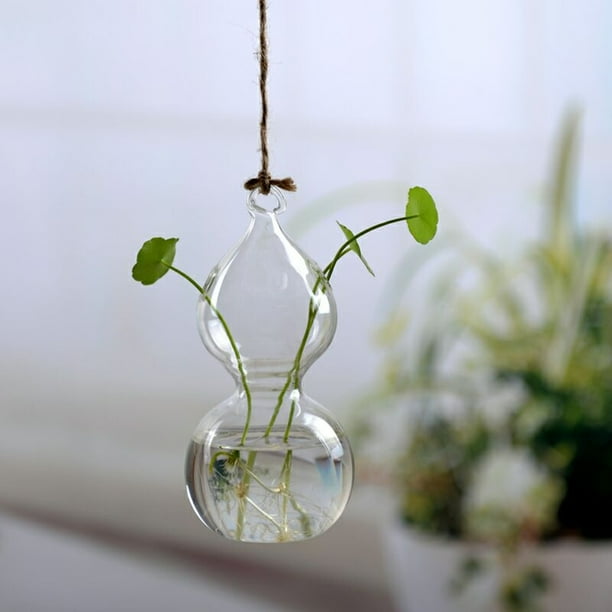 Sunisery Creative Transparent Wall-Mounted Vase Small Pepper Bird Gourd ...