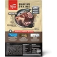 thumbnail image 2 of Orijen Amazing Grains Regional Red Dry Dog Food, 2 of 2