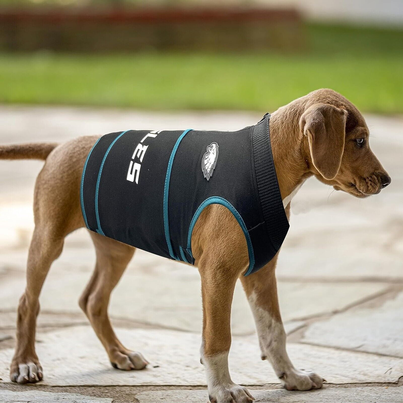 Pets First NFL Philadelphia Eagles Dog Anxiety Calming Shirt Soothing Solution Vest, Dogs & Cats Keeps Dogs Calm & Feeling Safe, Relaxing Jacket, Medium