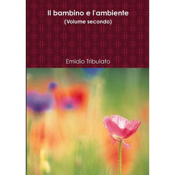 Il bambino e l'ambiente (Volume secondo), (Paperback)