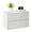 White, variant on Prilinex 2 Drawer Storage Organizer, Stackable Short Closet Dresser for Clothes, Wood Drawer Dresser with Anti-Topping Kits for Bedroom Living Room, Black