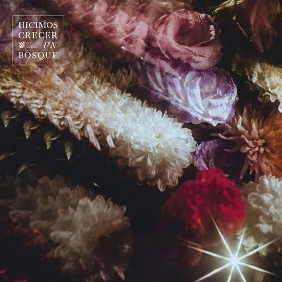 Fin Del Mundo - Hicimos Crecer Un Bosque - Music & Performance - CD