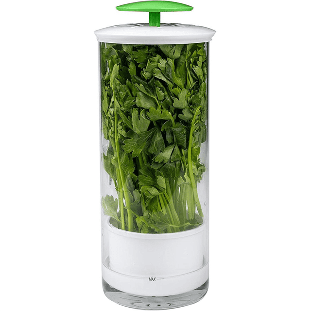 Vegetable Herb Preservator Herb Coriander Fresh-Keeping Box Breathable Herb Storage Container