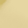 Lemon Paris