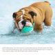 thumbnail image 5 of Juguete flotante para perros Juguetes con rociador de agua para cachorros Con forma de coco Abanopi Juguete del flotador del perro, 5 of 7