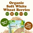 thumbnail image 4 of Organic Soft White Wheat Berries, 1.5 Pounds –  Sprouting, Kosher, 4 of 7