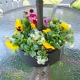 thumbnail image 2 of AuldHome Design Umbrella Planter for Patio Table w/ Umbrella Hole (Black), Enamelware Half-Circle Planter Pots, 2 of 9