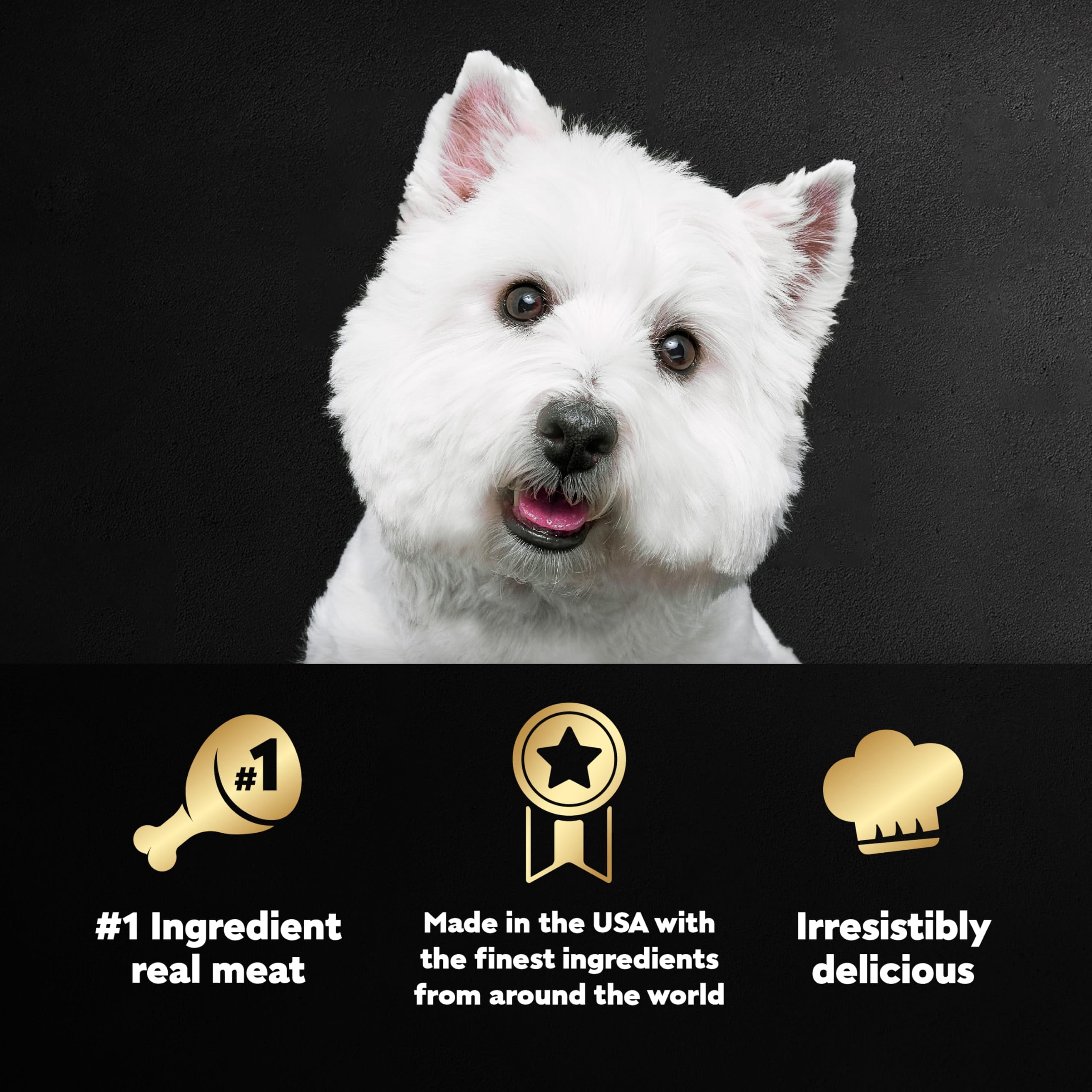 Cesar Wet Dog Food Classic Loaf in Sauce Variety Pack (Pack of 12)