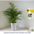thumbnail image 4 of Plenty Silk Sensation Artificial Flower & Plant Leaf Cleaner and Shine, Fake Flower Dusting Spray, Silk Plant Cleaner Spray, Drip Dry Cleaning Supplies for Artificial Tree (1 Gallon), 4 of 6