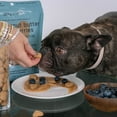 thumbnail image 5 of Dexypaws: Peanut Butter & Blueberry Dog Biscuits - 12oz Bag, Pet Treats, Natural Simple Ingredients, Snack-Training-Reward, Protein & Antioxidant Rich, 5 of 9