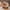 Style D, variant on DIY Christmas Houses Education Toys Unfinished Craft DIY Kits Play Fun Christmas Holiday Craft Project Art for Boys Children Style B