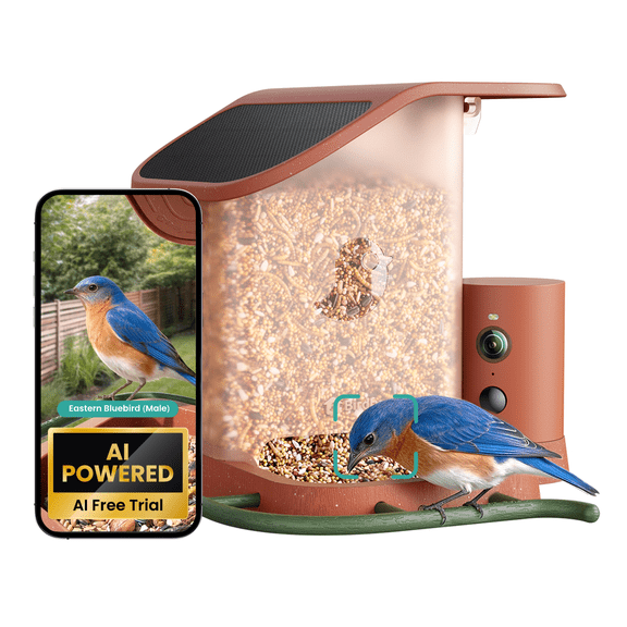 Birdfy Bird Feeder with Camera, Smart Bird Feeder Camera with AI Recognition, Solar Powered, 60FPS Slow Motion Video & 30-Day Free Cloud Storage, Terra