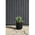 thumbnail image 6 of Veradek Mason Series Kona 10" Plastic-Stone Planter - Black, 6 of 11