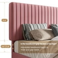 thumbnail image 6 of SHA CERLIN Pink Queen Size Upholstered Platform Bed Frame with Adjustable Velvet Channel Headboard, 6 of 9