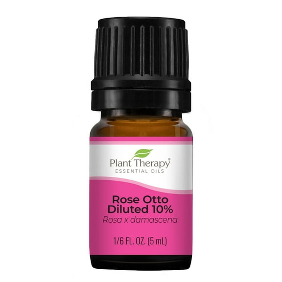 Plant Therapy Rose Otto Diluted Essential Oil 5 mL (1/6 oz) 100% Pure, Therapeutic Grade