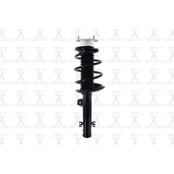 Suspension Strut and Coil Spring Assembly