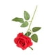 thumbnail image 2 of Billuyoard Paquete de 12 rosas y flores de seda exquisita artesanía y elegancia para un toque romántico Flores artificiales rojo brillante, 2 of 6