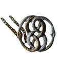 thumbnail image 2 of Baohd Personalized and Creative Double Serpent Entanglement Double Color Double Snake Pendant Female Personalized Retro Jewelry Necklace, 2 of 8