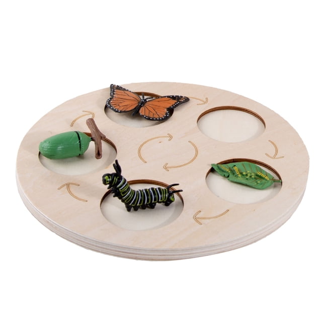 Tablero Del Ciclo De Vida Montessori. El Tablero De Deducción Circular Es Un Material Didáctico Fabricado En Madera Para La Educación Temprana De Niños En Edad Preescolar: Mariposas, Ranas, Pollitos