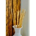 thumbnail image 5 of Green Floral Crafts - Natural River Cane 3.5 Ft, Natural, Pack of 15, 5 of 7