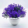 thumbnail image 4 of SPRING PARK Artificial Mini Potted Plants Fake Plastic Greenery in Pots Small Faux Topiary Grass Shrubs Houseplants for Centerpiece Desk Room House Office Decor Decoration, 4 of 6