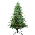 thumbnail image 1 of Arbre de Pin de Jackson Incandescent Multicolore Pré-Éclairé de 6 Pi, 1 of 1