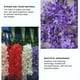 thumbnail image 4 of Inteprter Flor artificial de larga duración ABS para decoración de flores artificiales de interior o exterior Wisteria Wedding Decoración, 4 of 6