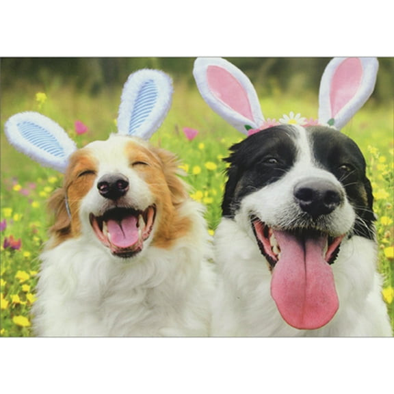 Avanti Press Two Smiling Dogs Wearing White, Pink and Blue Bunny Ears Easter Card
