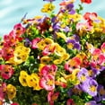 thumbnail image 4 of Nearly Natural Pansy Bush UV Resistant Artificial Outdoor Plant - 13" - Multicolor - Set of 12, 4 of 9