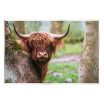 Stupell Industries Highland Cattle Peering Between Trees Lush Nature Scene Photograph Unframed Art Print Wall Art, Design by James Dobson
