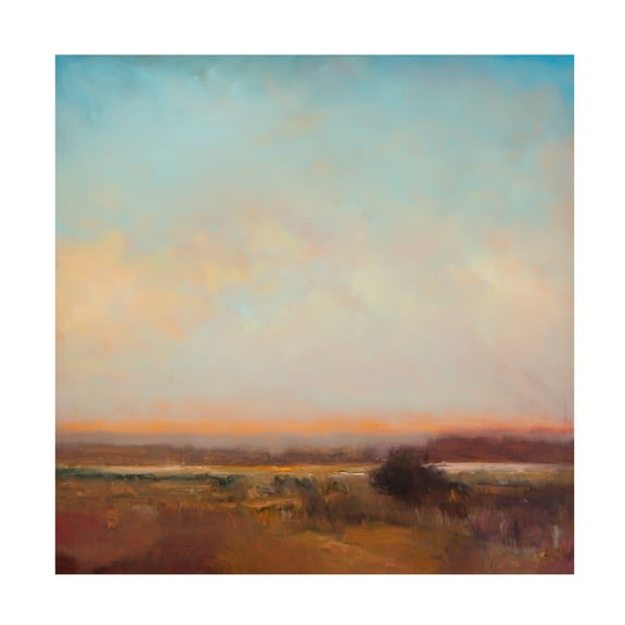 Canvas Wall Art - William McCarthy 'Evening Song' Wall Art for Living Room, Bedroom, or Office Décor by Trademark Fine Art - 14 x 14 Inches