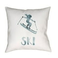 thumbnail image 2 of Ski II 20 x 20 x 4 Throw Pillow, 2 of 2