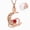 Rose Gold-Red, variant on Birthstone Crescent Moon Shape Cremation Jewelry for Ashes Urn Necklace Stainless Steel Memorial Lockets Keepsakes Jewelry for Ashes Pendant - Fill kit