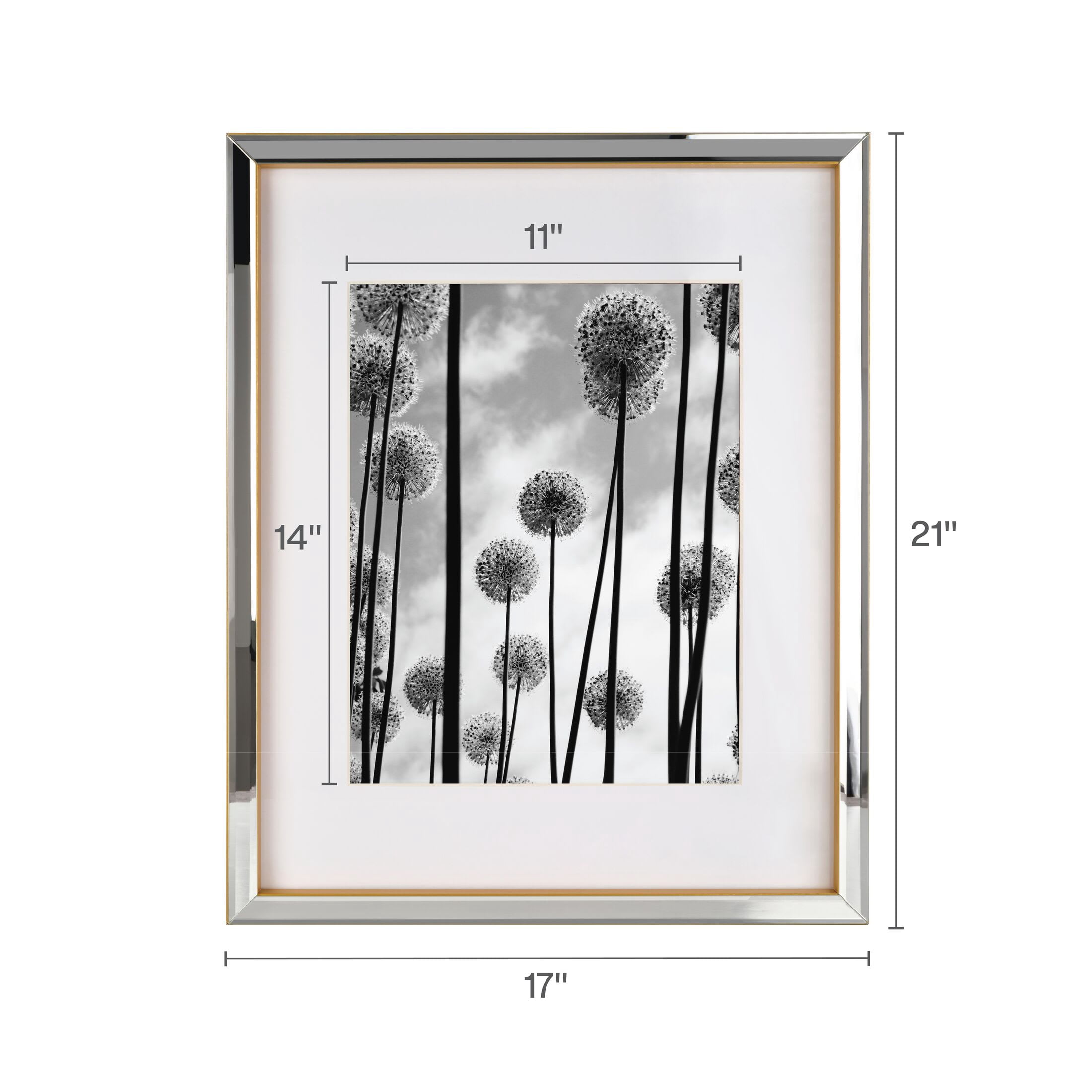 Home Accents 17X21 inch Mirrored Frame 16X20 Matted To 11X14 Picture, Gold