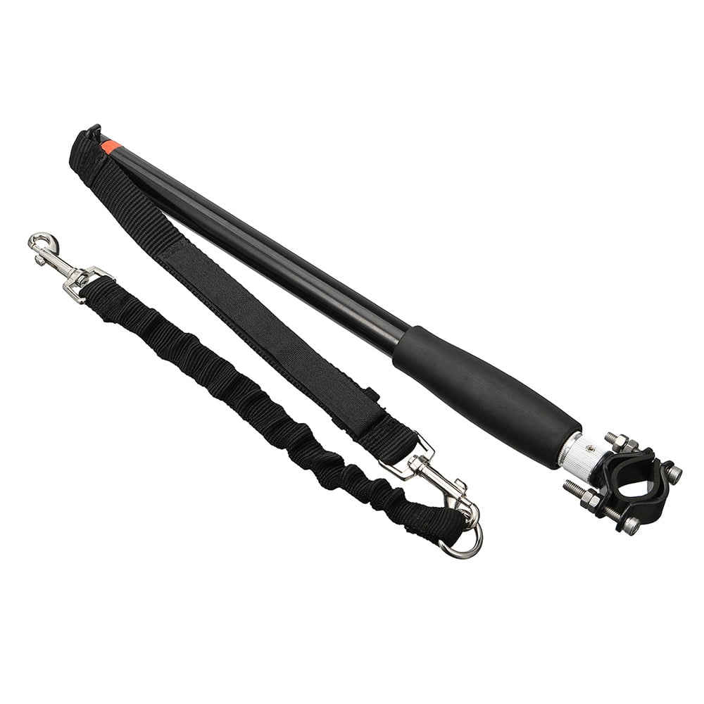 dog bike leash walmart