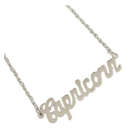 Capricorn Zodiac Sign Silver Tone Astrology Nameplate Pendant Necklace Ladies Adult Female Women