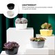 thumbnail image 4 of 2 unids Mini Maceta Pétalo Diseñado Suculento Planta Pot Casa Decorativa Maceta, 4 of 6