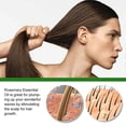 thumbnail image 3 of Rosemary Essential Oil Hair Growth Oils Pure Natural 30ml Hair Essential Oils For Nourish Shiny Hair Healthy Hair Care--, 3 of 5