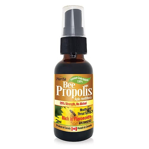 Herba Bee Propolis Spray 30ml - No Alcohol | Mouth and Throat Spray | To Relieve Sore Throats and Mouth | Apis Mellifera | Rich in Flavonoids | 100% Natural Premium Grade | Made in Canada