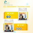 Tolobeve Dog Training Pads, XXL, 30 in x 36 in, 60 Count Disposable Dog