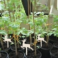 thumbnail image 3 of RXIRUCGD Wooden Sign Creative Gardening Plant Label Can Write Insert Ground 10 Pcs, 3 of 8