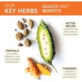 thumbnail image 5 of Himalaya GlucoCare Herbal Supplement, Metabolism Support, Pancreatic Support, Triphala, Bitter Melon, Turmeric, 180 Capsules, 5 of 6