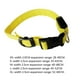 thumbnail image 4 of Collar luminoso intermitente Methold USB recargable para perro LED seguridad al aire libre XS S M L XL, 4 of 4