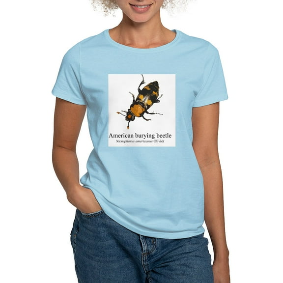CafePress - Nicrophorus Americanus Women's Light T Shirt - Women's Classic T-Shirt