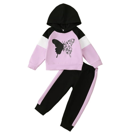 18 Months Baby Girls Clothes 24 Months Girls 2PCS Fall Winter Hoodie Outfits Set Butterfly Print Toddler Girls Long Sleeve Top Pants Set Purple