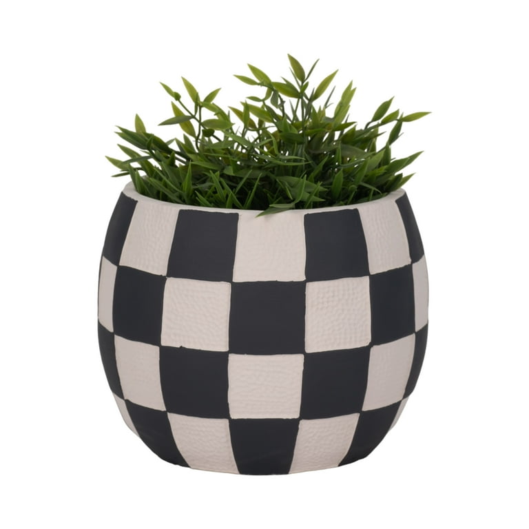 buy terrarium plants Woodland Terrarium | House Plants in Lexington, KY