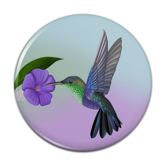 Hummingbird Crowned Woodnymph Purple Violet Pinback Button Pin