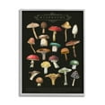 thumbnail image 4 of Stupell Industries Dark Informative Mushroom Chart Landscape Painting Gray Framed Art Print Wall Art, 4 of 5