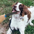 thumbnail image 3 of 2x Palos profesionales para perros sin mordeduras, protección interactiva que de forma segura, palos masticables para perros de, 3 of 8